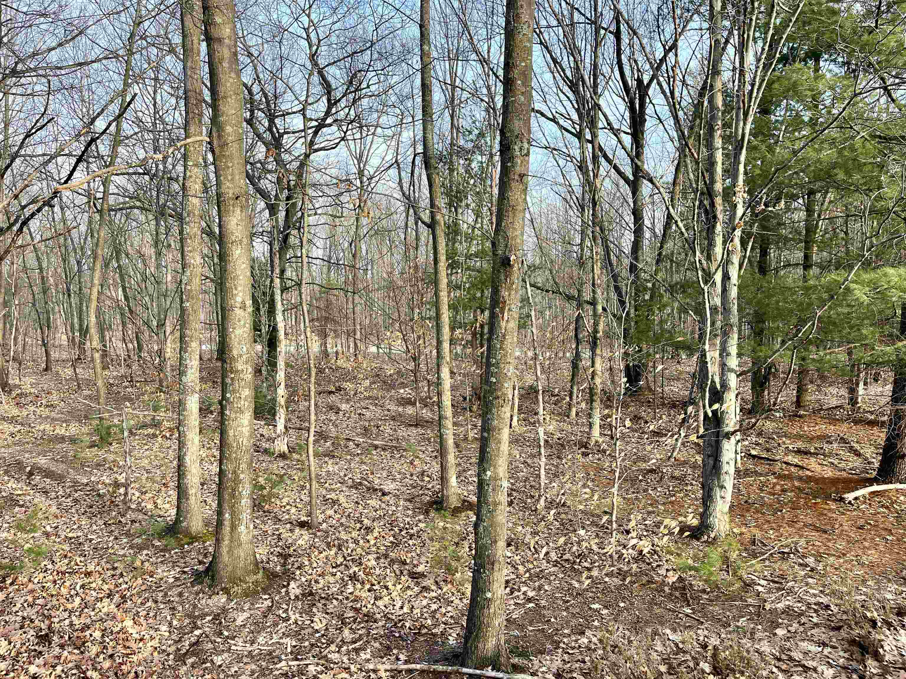 Parcel E West Trumbull Road Maple City, MI 49664 - Photo 6 of 16