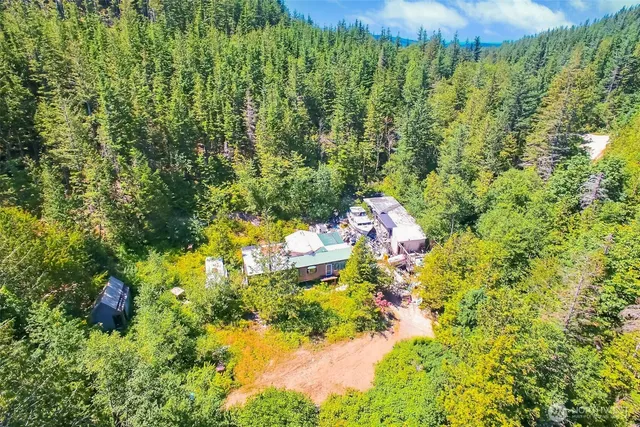 a close up of a flower in a garden