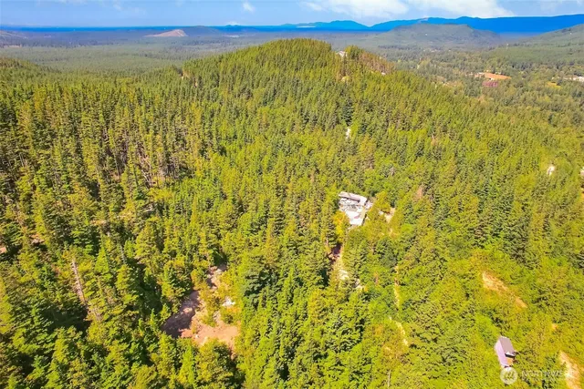 a view of a green field