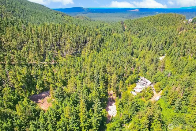 a view of a large yard