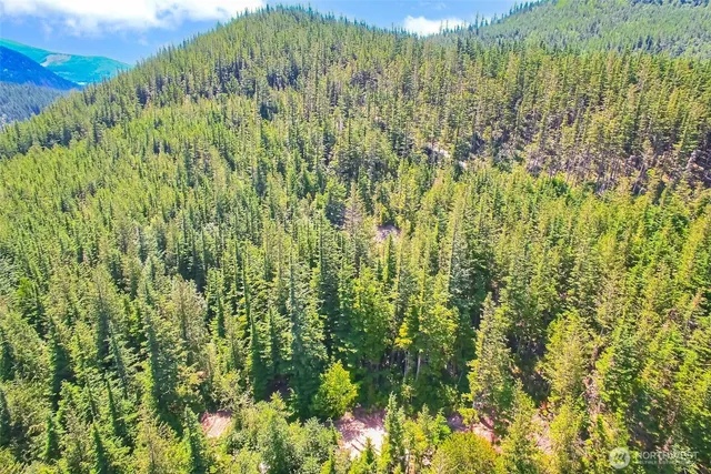 a backyard of a house with lots of green space and garden view