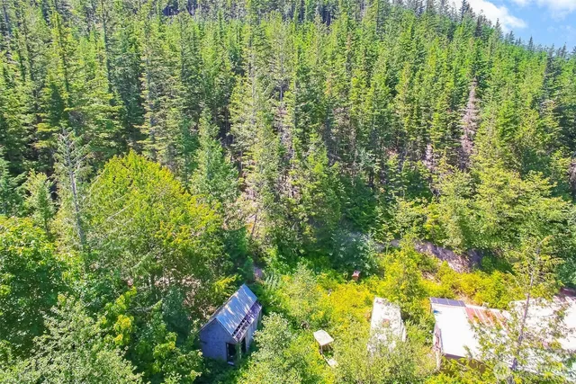 a view of outdoor space and trees