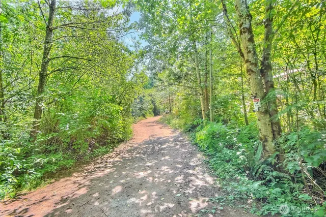 a view of a yard with plants