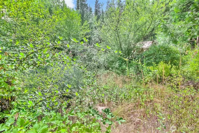 $450,000 | 32750 343rd Avenue Southeast, Ravensdale, WA 98051