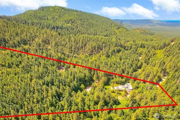 a view of a house with a yard and tree s