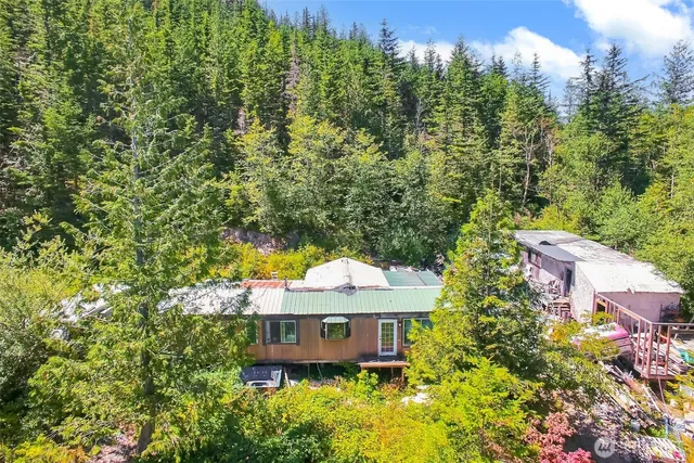 a view of a lush green hillside and a mountain view