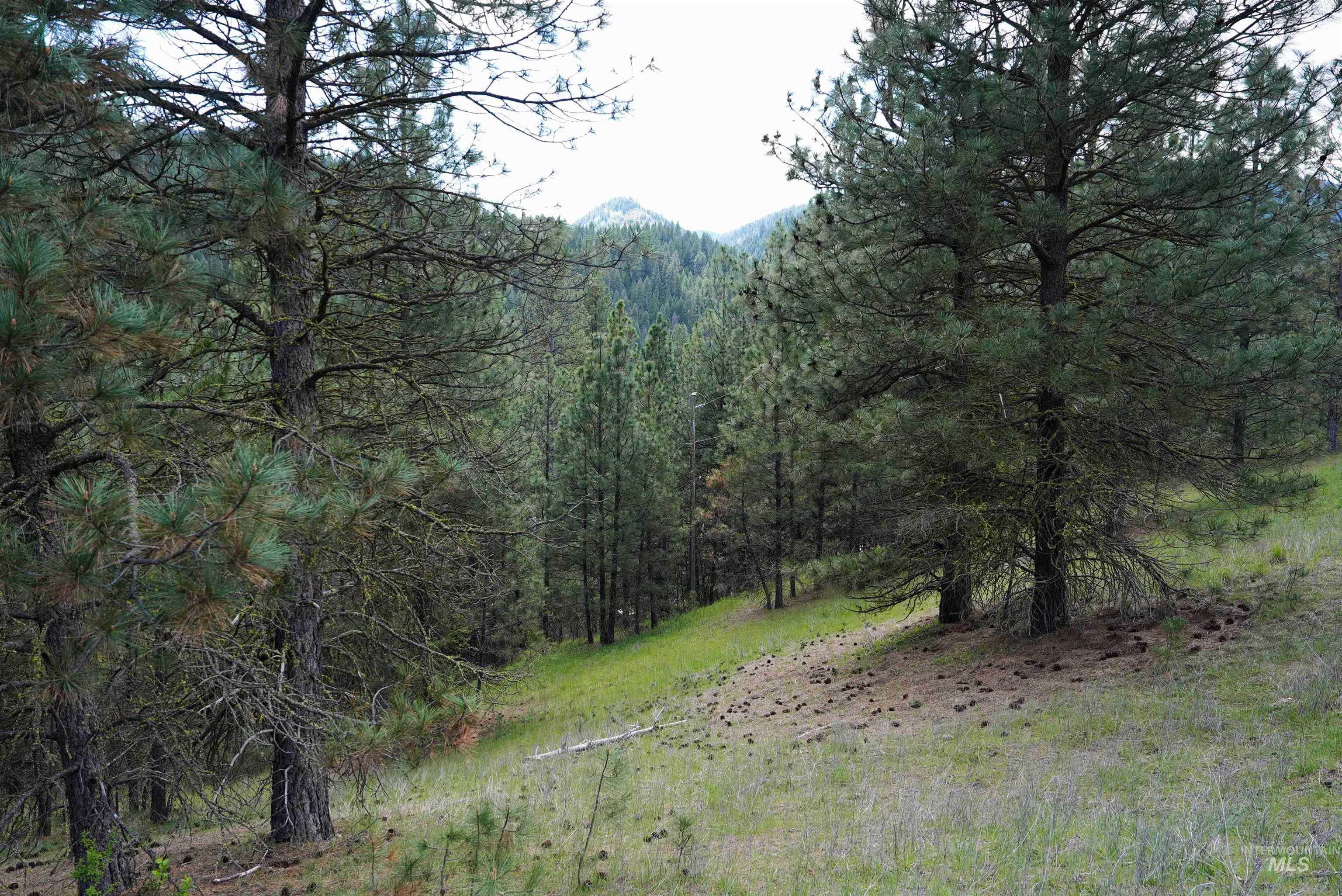 28-27 Fire Ridge Road Garden Valley, ID 83622 - Photo 7 of 10