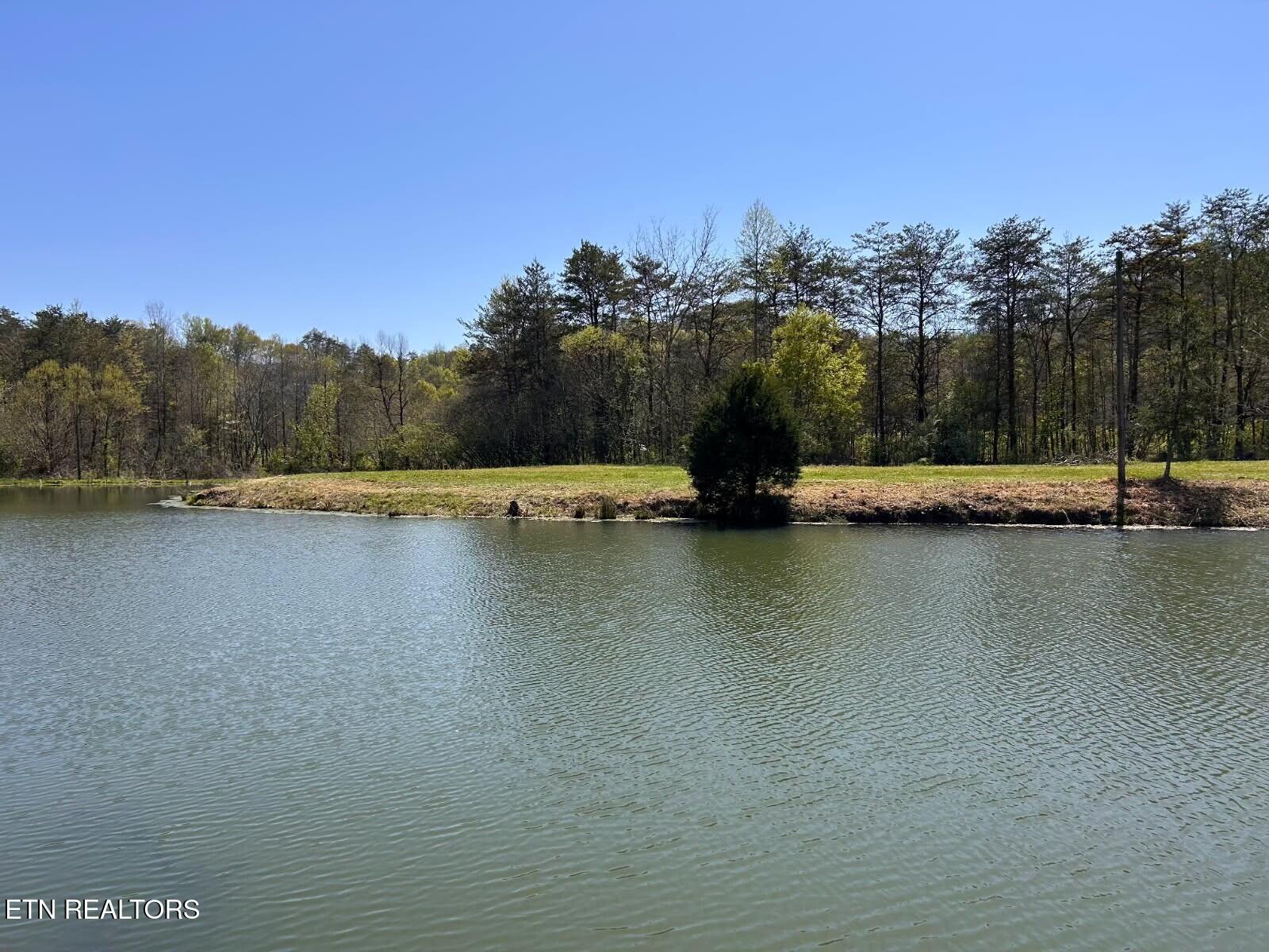 275 Republican Hill Road Newcomb, TN 37819 - Photo 29 of 34 Pond