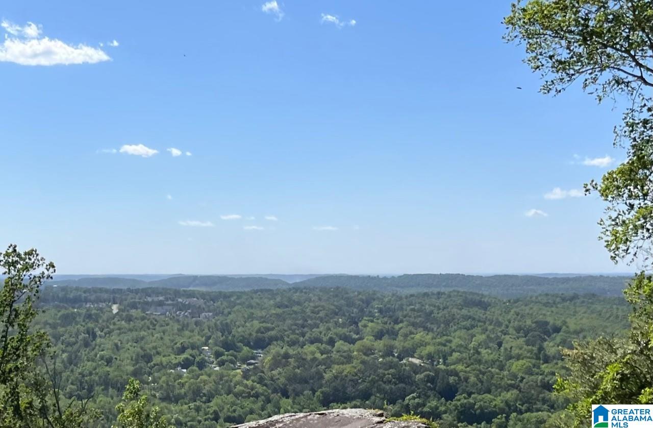 748 Shades Crest Road, Unit 2 Birmingham, AL 35226 - Photo 2 of 7