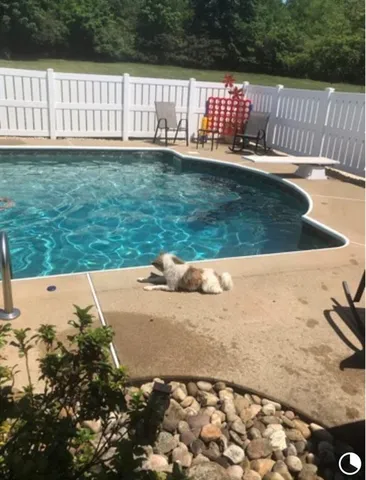 a view of swimming pool