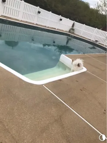 a close up of a sink