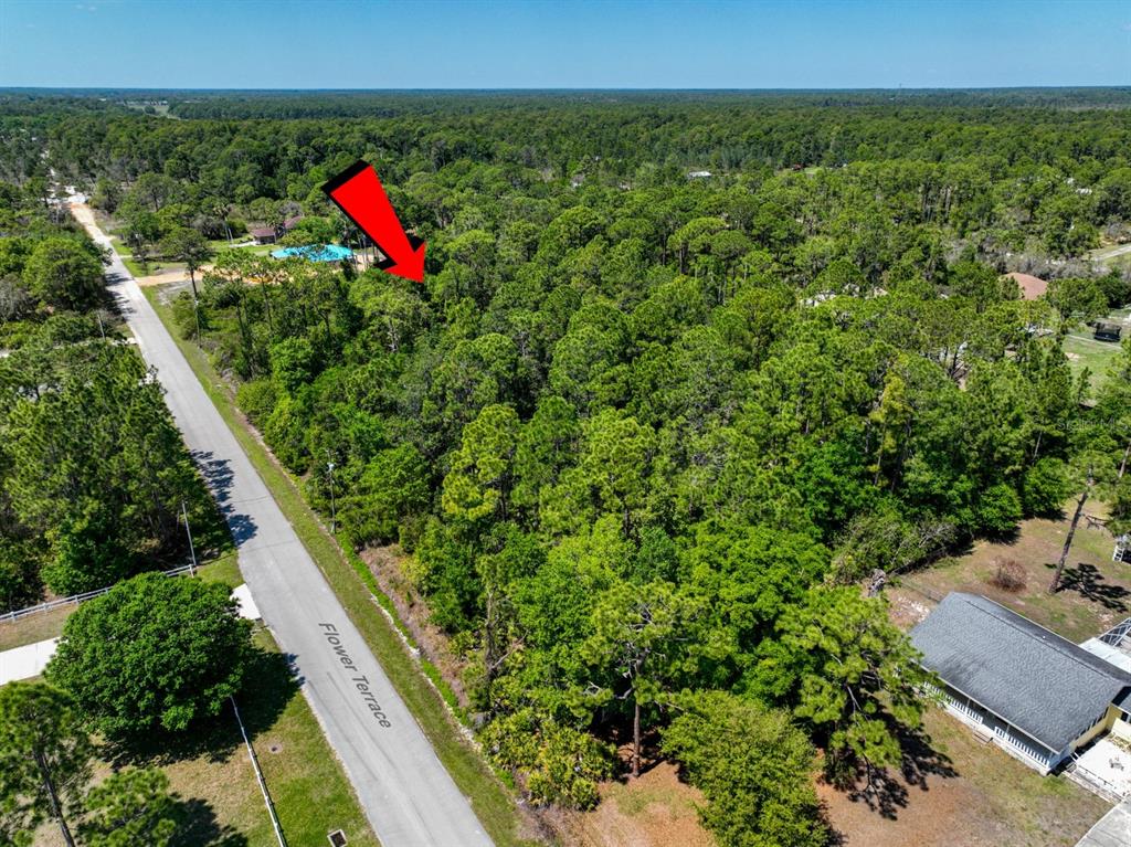 2022 Flower Terrace Sebring, FL 33875 - Photo 14 of 60 a view of a outdoor space