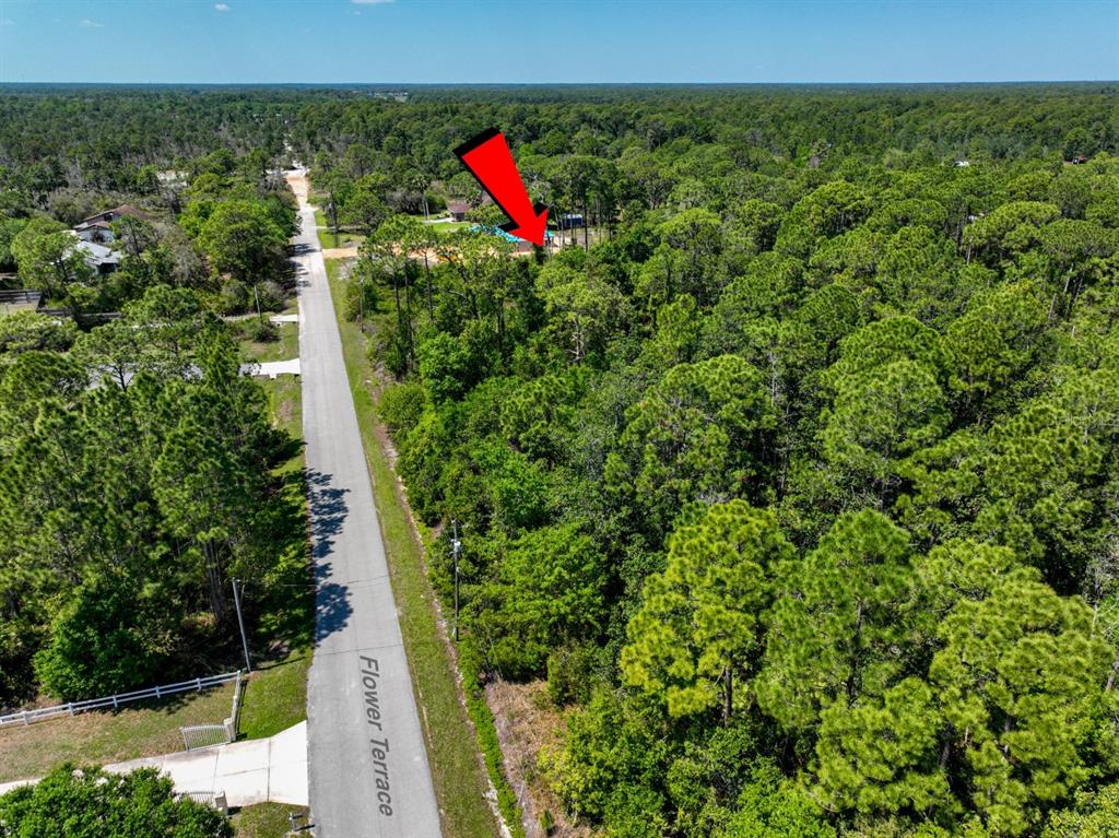 2022 Flower Terrace Sebring, FL 33875 - Photo 15 of 60 a view of a small yard