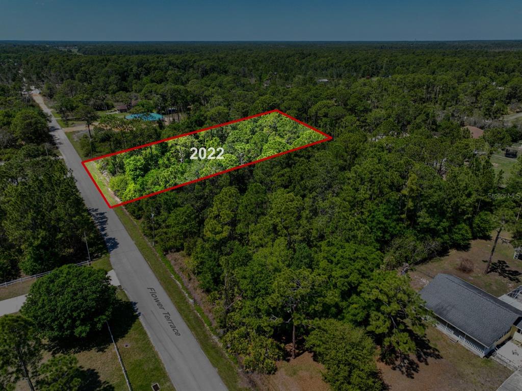 2022 Flower Terrace Sebring, FL 33875 - Photo 29 of 60 a view of a yard with plants