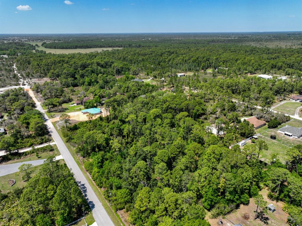 2022 Flower Terrace Sebring, FL 33875 - Photo 42 of 60 an aerial view of residential houses with outdoor space and trees