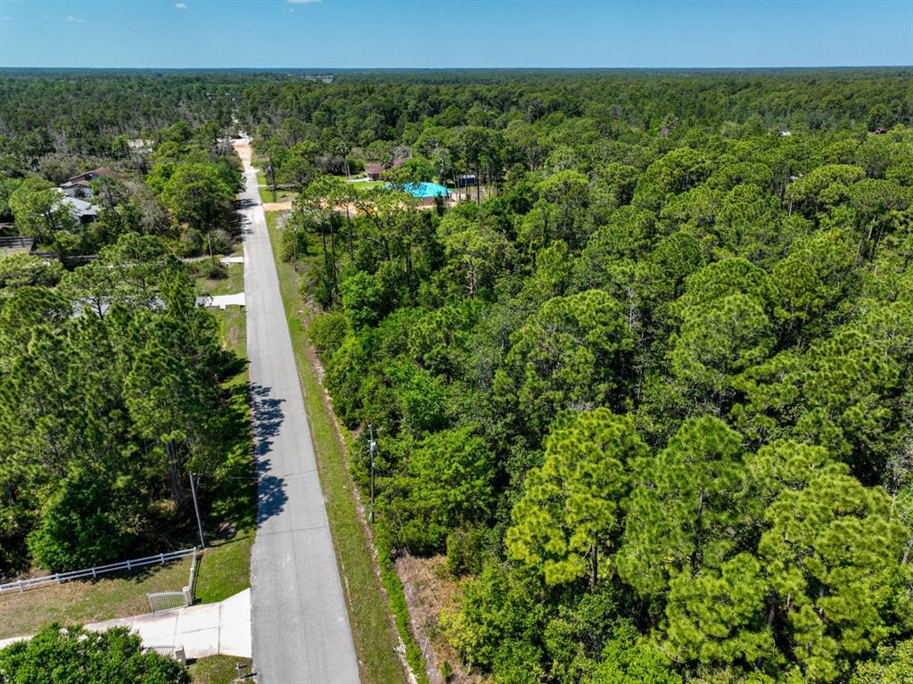 2022 Flower Terrace Sebring, FL 33875 - Photo 45 of 60 a view of a yard with an trees