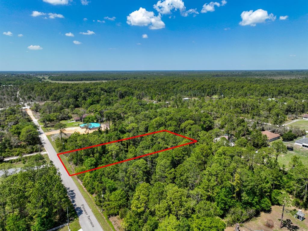 2022 Flower Terrace Sebring, FL 33875 - Photo 58 of 60 a view of a garden with an outdoor space