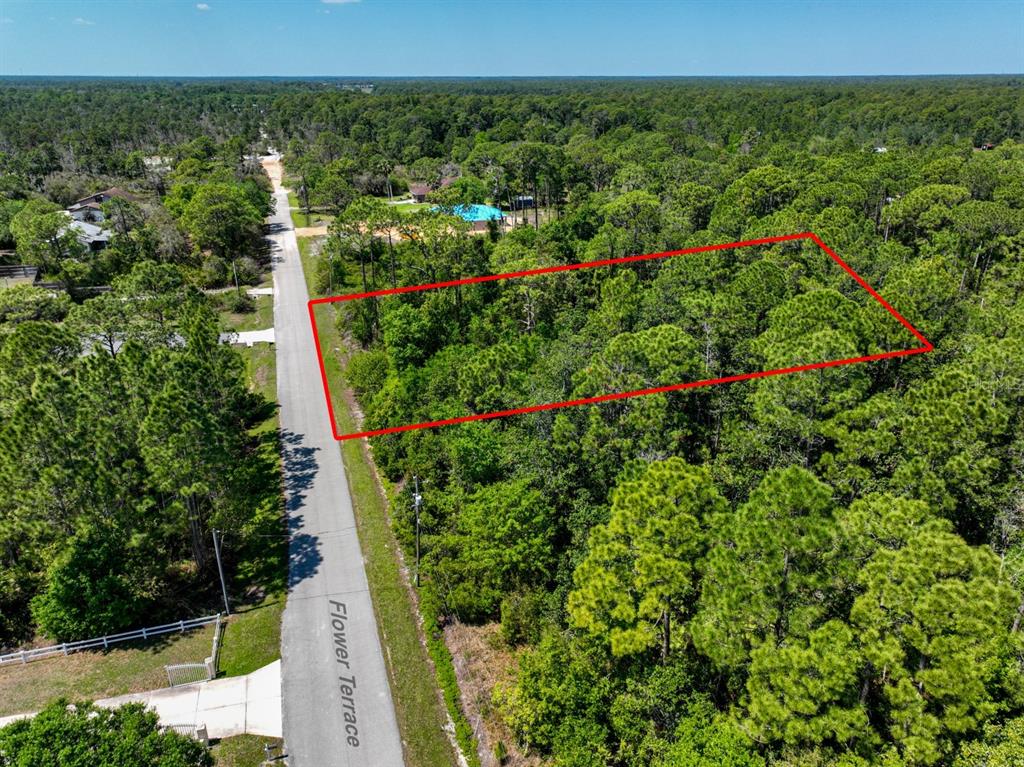 2022 Flower Terrace Sebring, FL 33875 - Photo 60 of 60 a view of a garden with an outdoor space