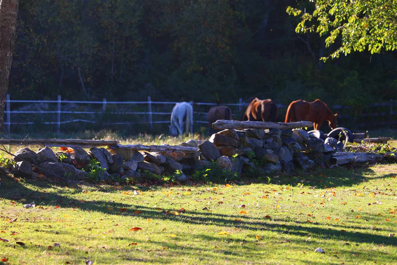 410 South Road Rye, NH 03871 - Photo 10 of 13