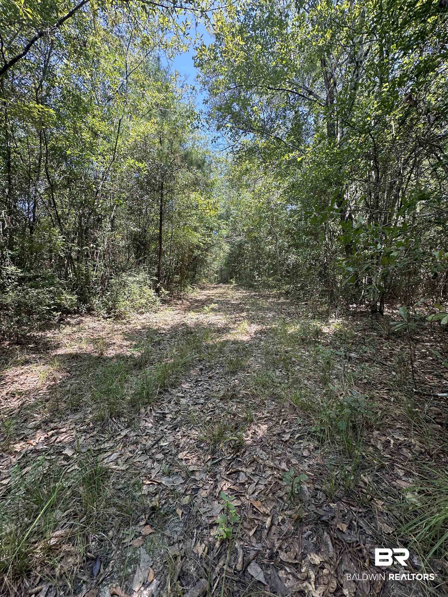 17175 Kelly Road Mount Vernon, AL 36560 - Photo 23 of 30 View of landscape