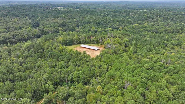 $225,000 | 255 Everett Church Road, Mendenhall, MS 39114
