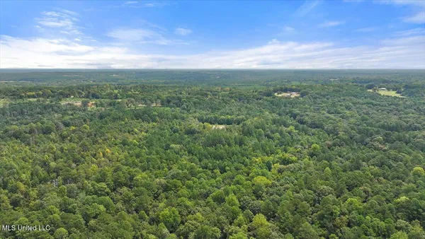 $225,000 | 255 Everett Church Road, Mendenhall, MS 39114