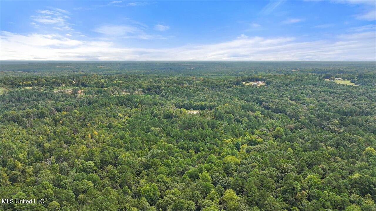 255 Everett Church Road Mendenhall, MS 39114 - Photo 11 of 47 08-255 Everett Church Rd