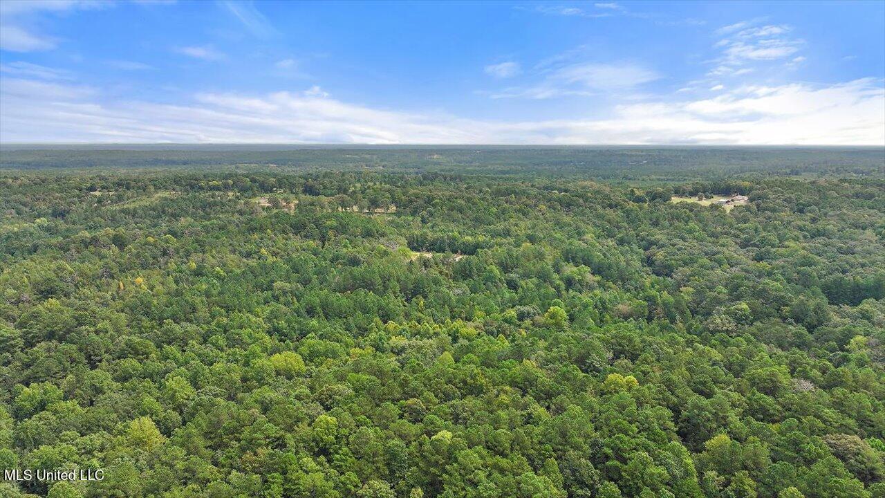 255 Everett Church Road Mendenhall, MS 39114 - Photo 12 of 47 09-255 Everett Church Rd