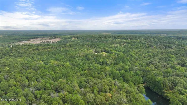 $225,000 | 255 Everett Church Road, Mendenhall, MS 39114