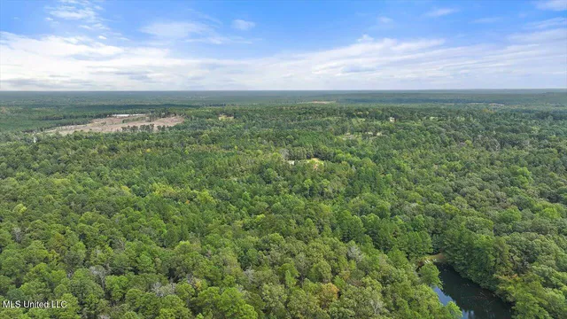 $225,000 | 255 Everett Church Road, Mendenhall, MS 39114