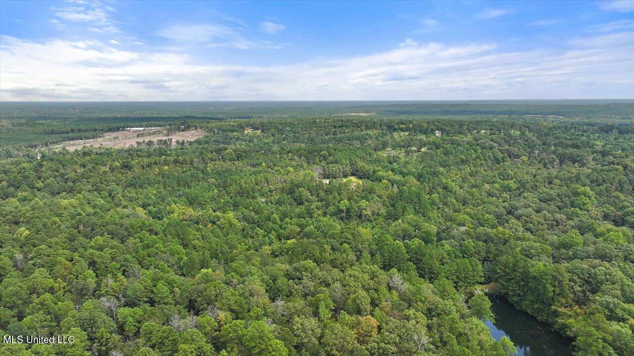 255 Everett Church Road Mendenhall, MS 39114 - Photo 13 of 47 10-255 Everett Church Rd