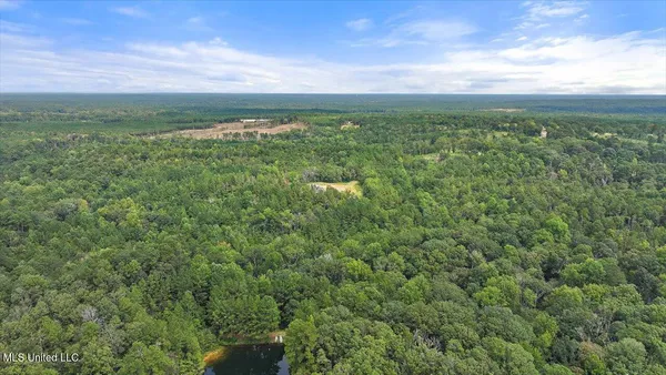 $225,000 | 255 Everett Church Road, Mendenhall, MS 39114