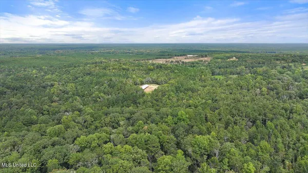 $225,000 | 255 Everett Church Road, Mendenhall, MS 39114