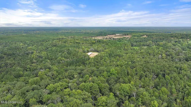 $225,000 | 255 Everett Church Road, Mendenhall, MS 39114