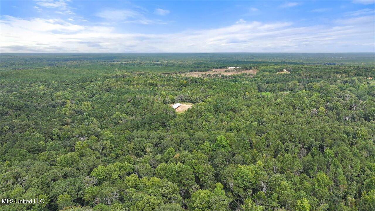 255 Everett Church Road Mendenhall, MS 39114 - Photo 15 of 47 12-255 Everett Church Rd