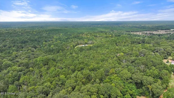 $225,000 | 255 Everett Church Road, Mendenhall, MS 39114