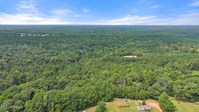 $225,000 | 255 Everett Church Road, Mendenhall, MS 39114