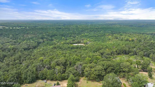 $225,000 | 255 Everett Church Road, Mendenhall, MS 39114