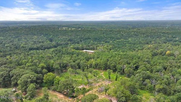 $225,000 | 255 Everett Church Road, Mendenhall, MS 39114