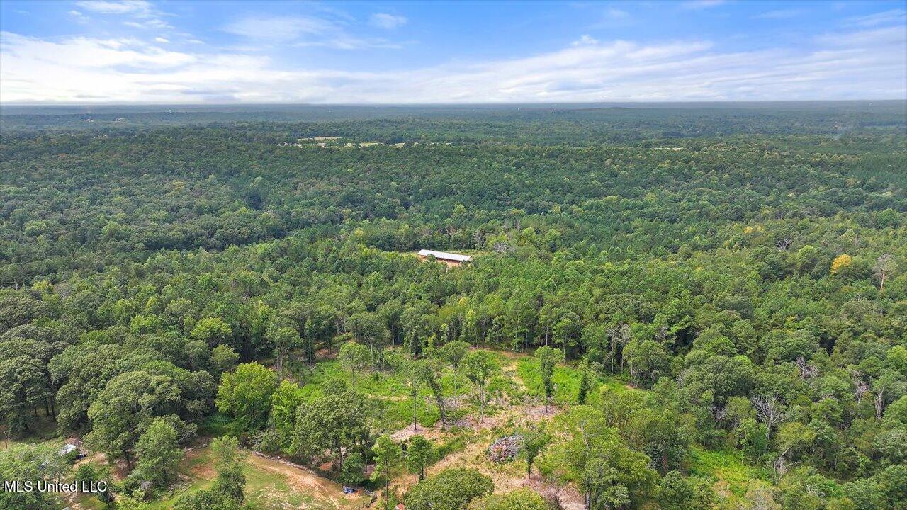 255 Everett Church Road Mendenhall, MS 39114 - Photo 19 of 47 19-255 Everett Church Rd