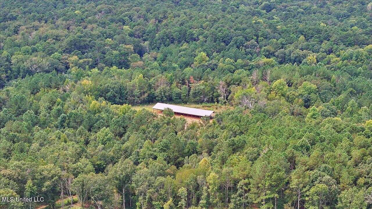 255 Everett Church Road Mendenhall, MS 39114 - Photo 20 of 47 20-255 Everett Church Rd