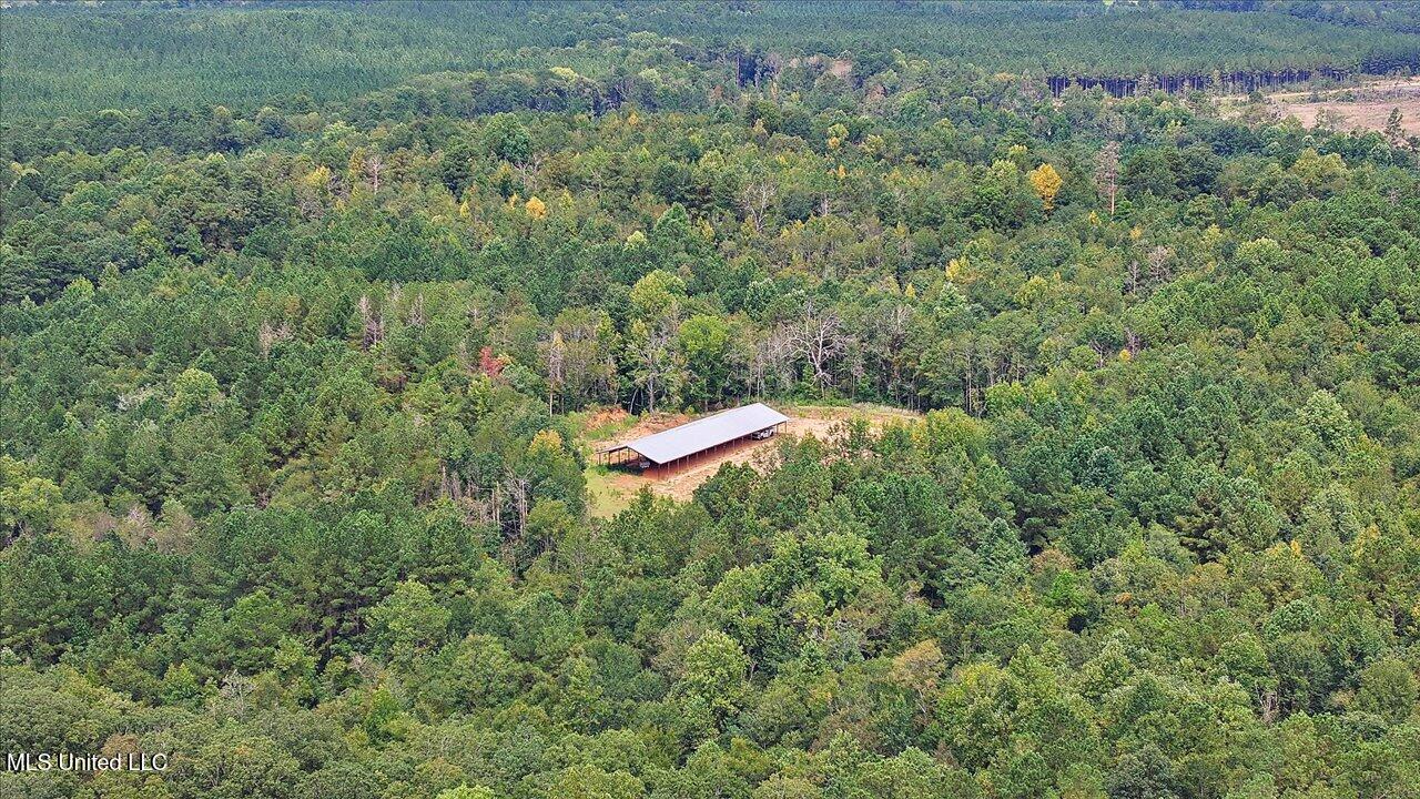 255 Everett Church Road Mendenhall, MS 39114 - Photo 2 of 47 13-255 Everett Church Rd