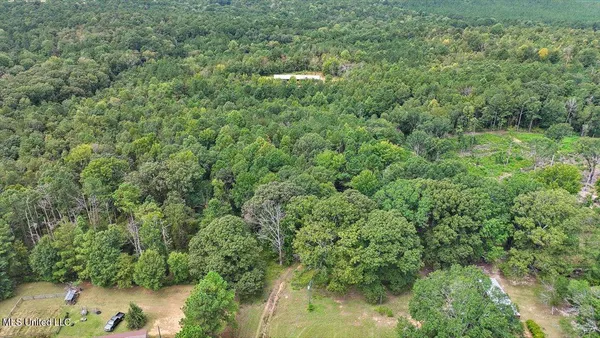 $225,000 | 255 Everett Church Road, Mendenhall, MS 39114