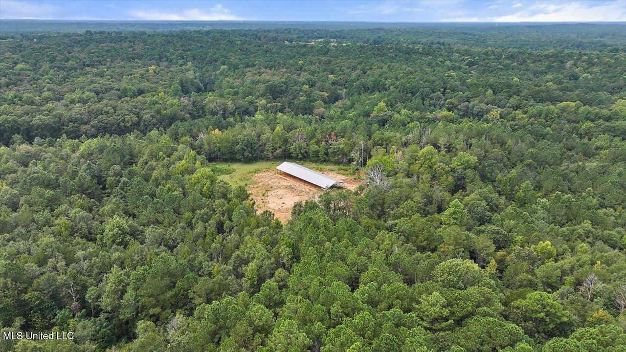 255 Everett Church Road Mendenhall, MS 39114 - Photo 27 of 47 28-255 Everett Church Rd