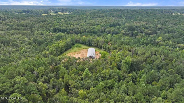 $225,000 | 255 Everett Church Road, Mendenhall, MS 39114