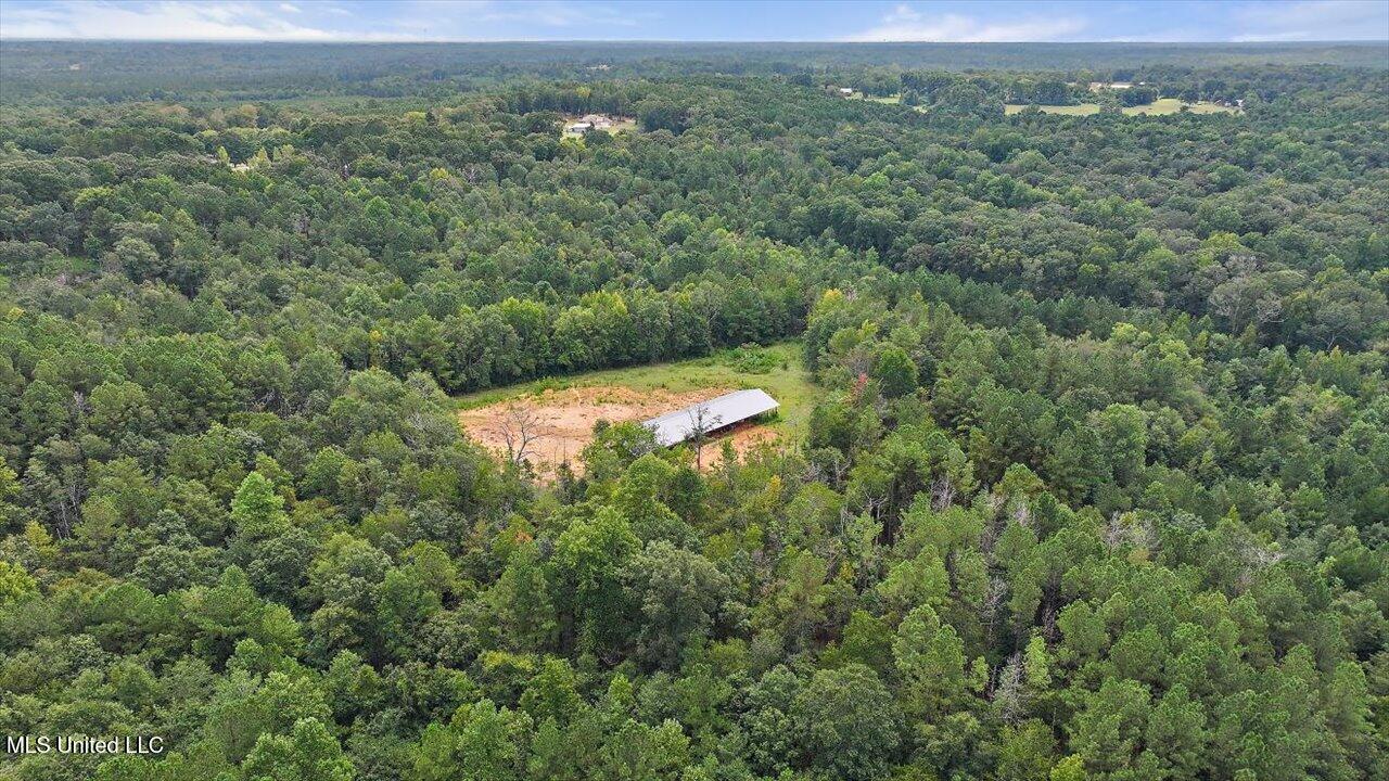 255 Everett Church Road Mendenhall, MS 39114 - Photo 29 of 47 30-255 Everett Church Rd