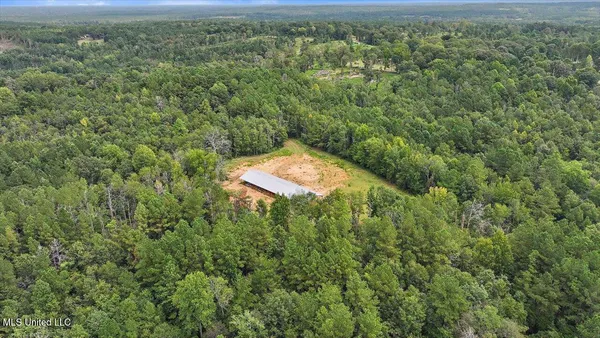 $225,000 | 255 Everett Church Road, Mendenhall, MS 39114