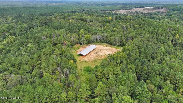 $225,000 | 255 Everett Church Road, Mendenhall, MS 39114