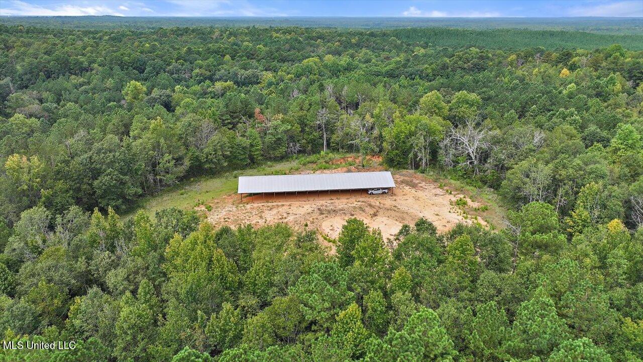 255 Everett Church Road Mendenhall, MS 39114 - Photo 34 of 47 35-255 Everett Church Rd