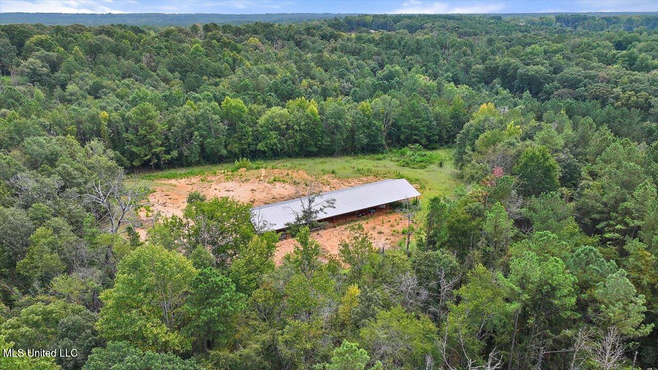255 Everett Church Road Mendenhall, MS 39114 - Photo 36 of 47 37-255 Everett Church Rd